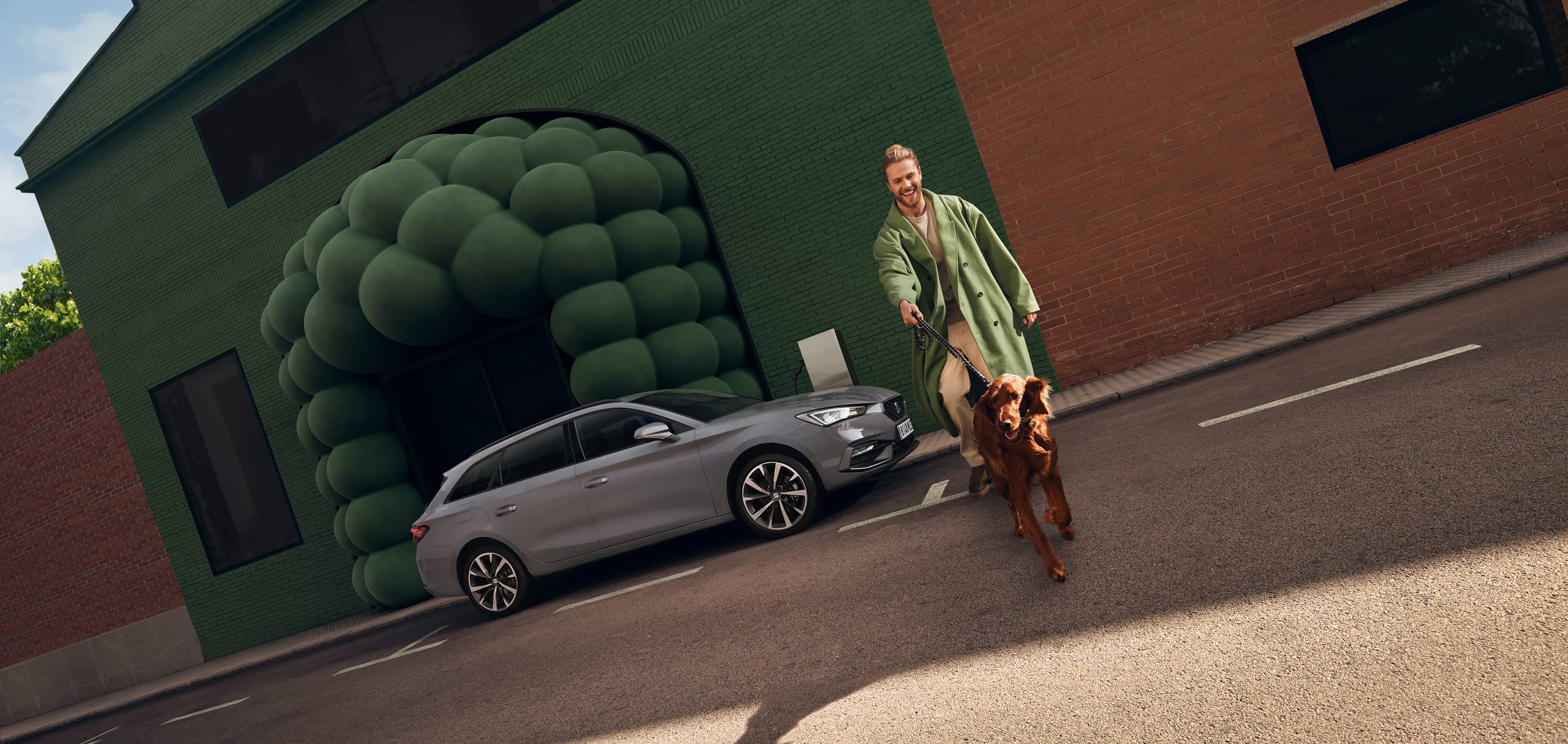 side view on a green background, of a graphene grey leon sportstourer and a man walking by with a dog